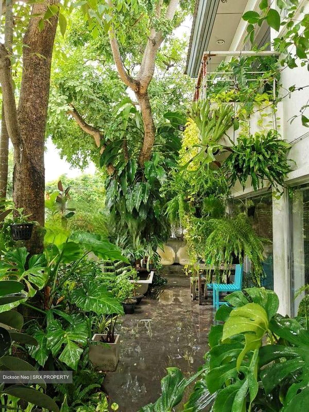 Binjai Walk (D21), Detached #499354171